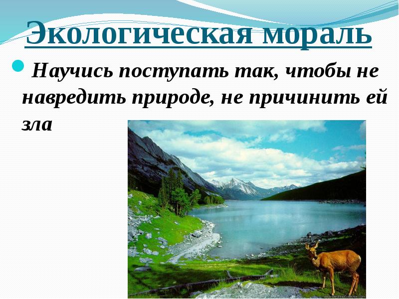 Презентация по теме охранять природу значит охранять жизнь