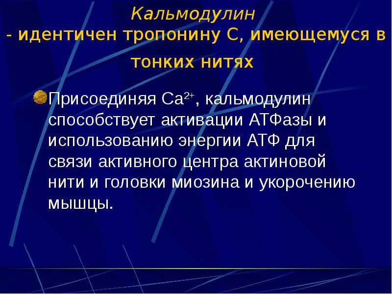 Активные связи. Кальмодулин. Кальмодулин функция. Кальмодулин гладкие мышцы. Кальмодулин это физиология.