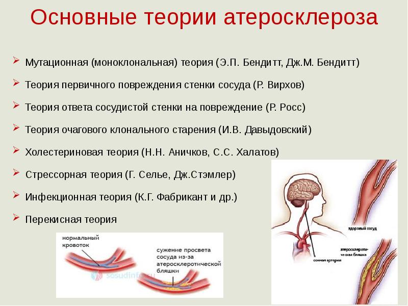 Патофизиология атеросклероза презентация