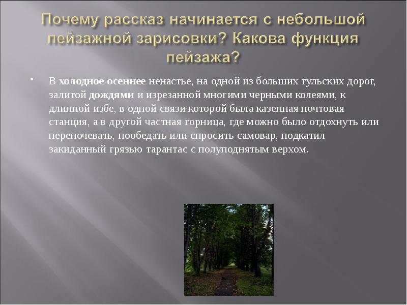 Почему автор начинает рассказ с описания природы. Роль пейзажа в рассказе темные аллеи Бунина. Темные аллеи презентация. Роль пейзажа в рассказе темные аллеи. Осенние Холодное ненастье.