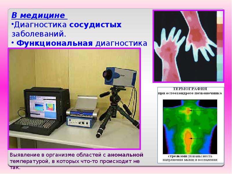 Биофизика человека проект по физике