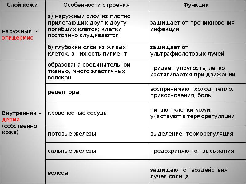 Составьте по тексту параграфа функции кожи план рассказа на тему значение кожи в терморегуляции