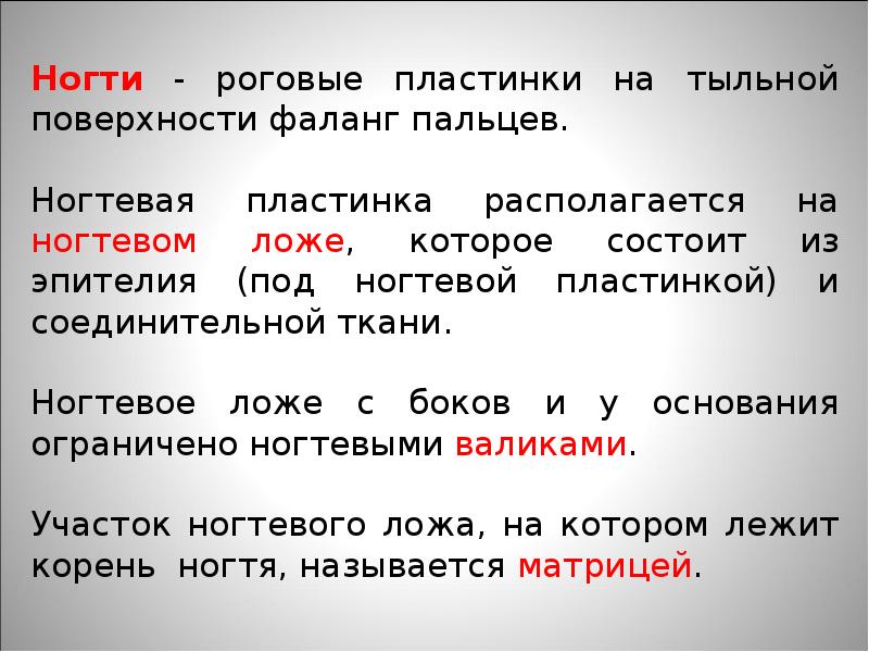 Составьте по тексту параграфа функции кожи план рассказа на тему значение кожи в терморегуляции