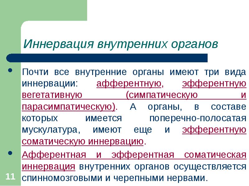 Вегетативная иннервация внутренних органов презентация