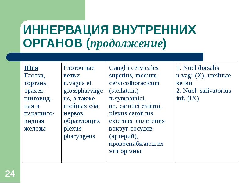 Вегетативная иннервация внутренних органов презентация