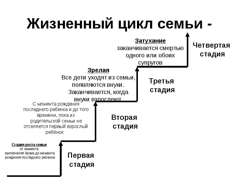 Семья функции и жизненный цикл семьи