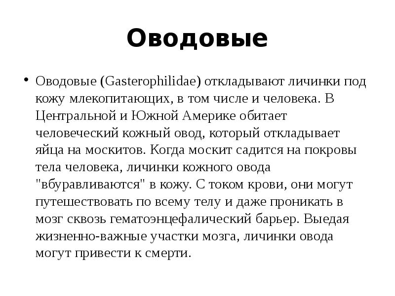 Паразиты сообщение по биологии 5 класс. Доклад по биологии на тему паразиты. доклад на тему паразиты 5 класс. доклад про паразита смешные. оводовые (gasterophilidae).