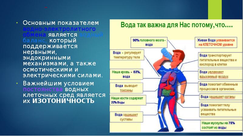 Водный обмен в организме презентация