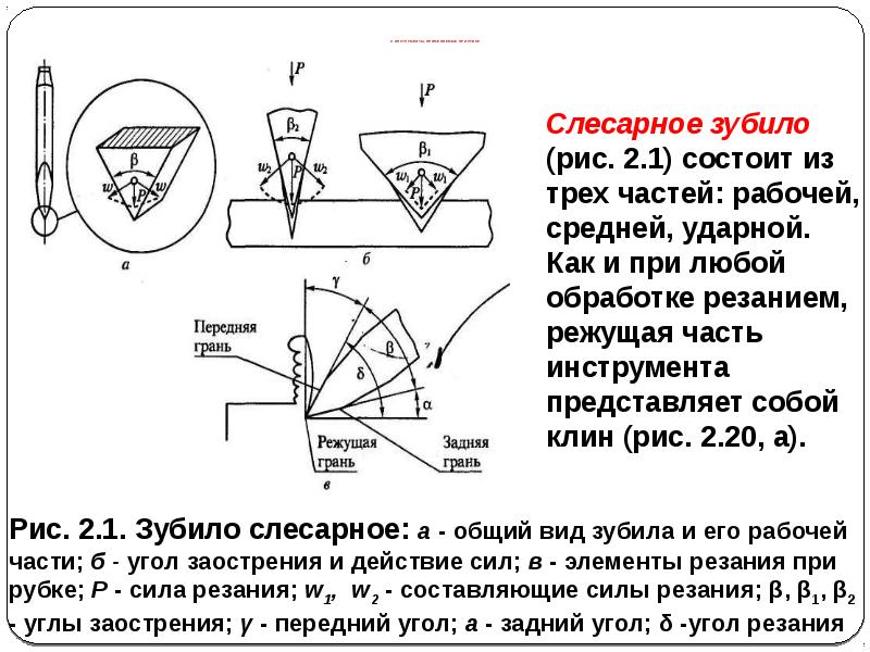 Презентация скфу шаблон