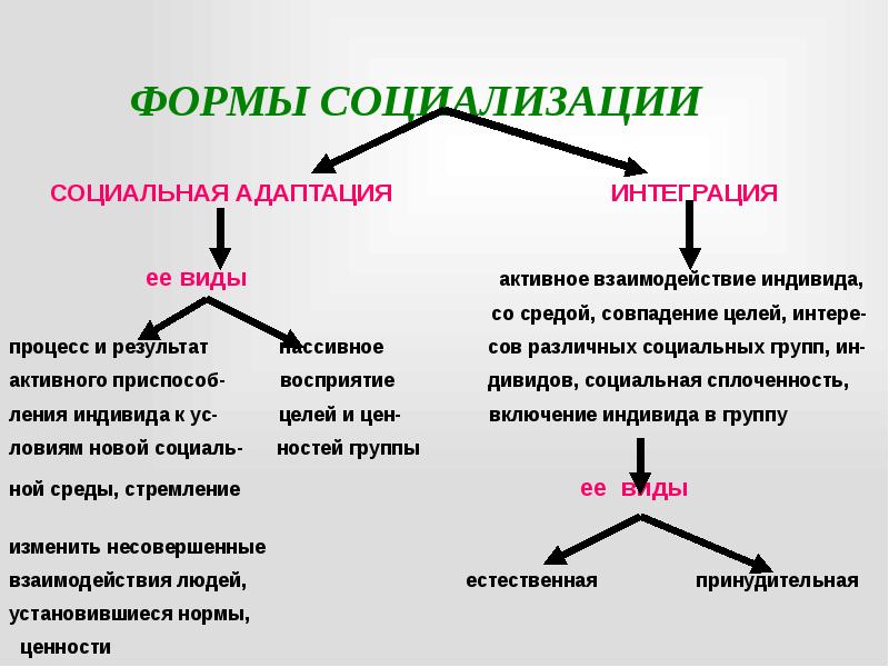 Социальный статус личности презентация