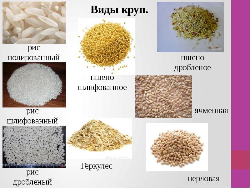 Виды крупов. Виды круп. Пшено дробленое. Крупа типа пшенки. Дробленые крупы названия.