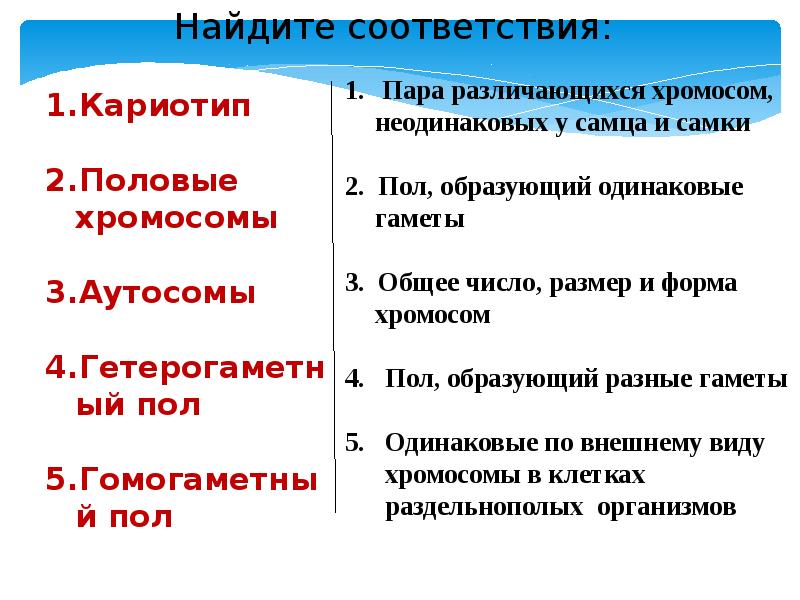 Хромосомы одинаковые у самцов и самок называются