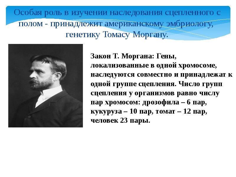 Основоположник генетики. Томас Хант Морган наследование сцепленное с полом. В начале ХХ века американский эмбриолог и генетик. Считается ли Морган основателем генетики. Фамилии ученых биологов изучал закон сцепленного наследования.