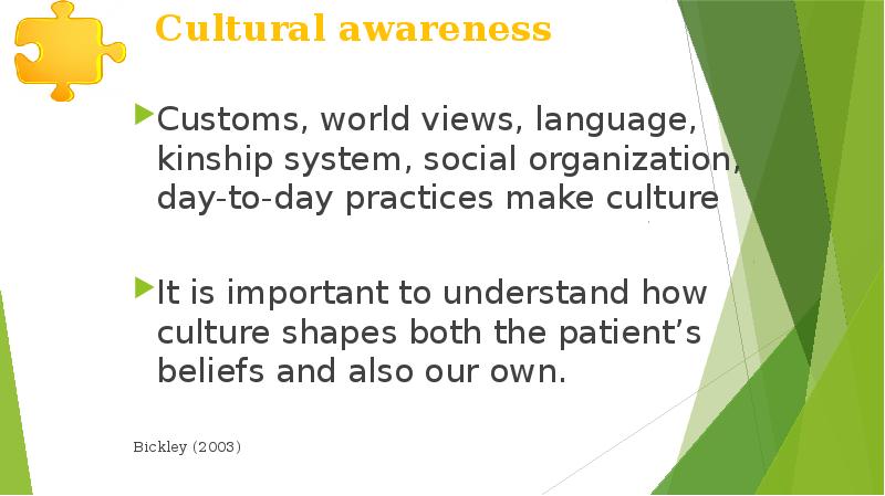 Cultural awareness Customs, world views, language, kinship system, social organization, day-to-day