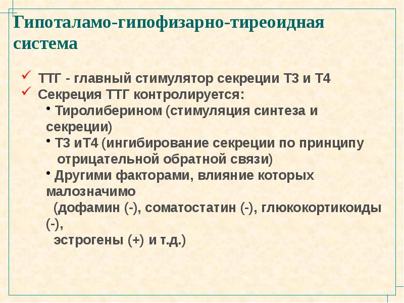 Схема гипоталамо гипофизарно тиреоидной системы