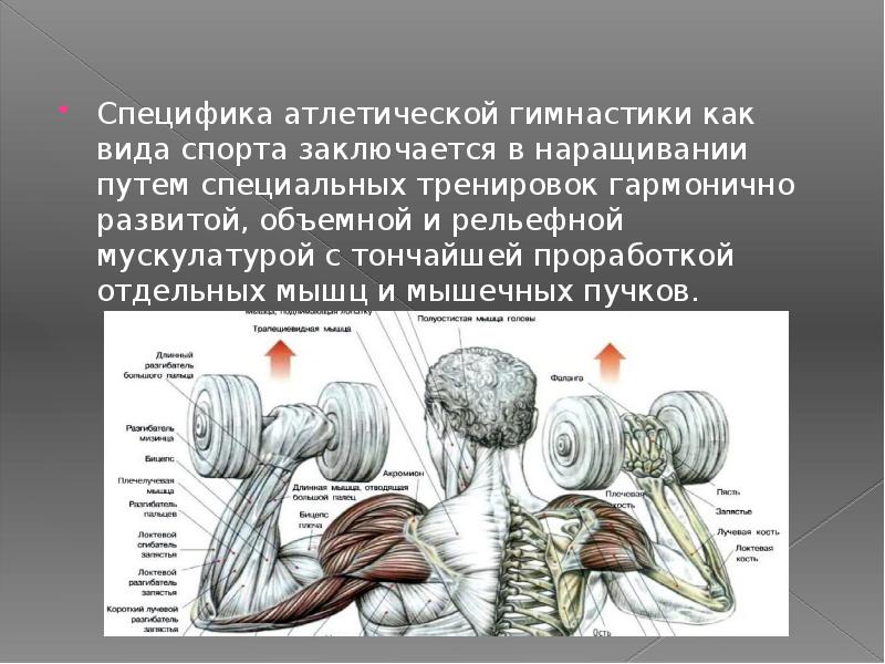 Атлетическая гимнастика презентация