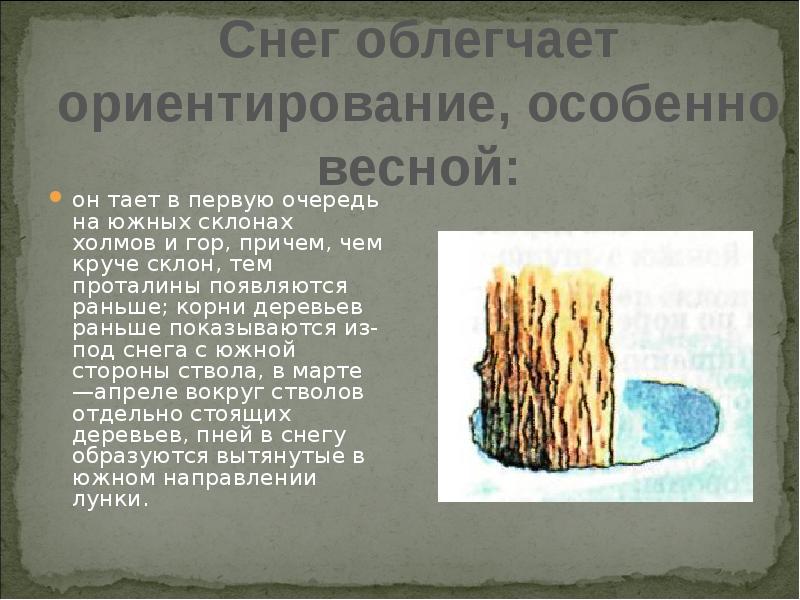 Таял корень. Снег тает быстрее на южных склонах холмов. Корни раньше. В первые дни апреля зачернеют на Буграх и склонах проталины. Корни что раньше были.