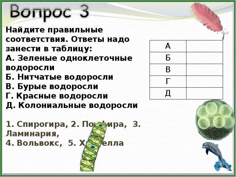 В соответствии с ответом. Таблица зеленые водоросли ответы. Найди правильные соответствия. Ответы надо занести в таблицу. Таблица друг враг водорослей.