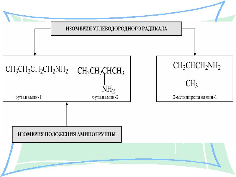 Амины химия презентация