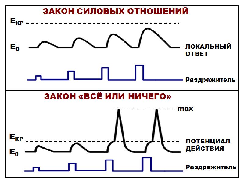 Все или ничего схема