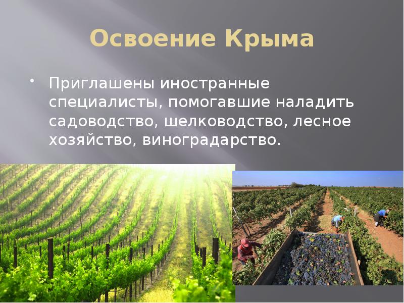 Освоение Крыма Приглашены иностранные специалисты, помогавшие наладить садоводство, шелководство, лесное хозяйство,