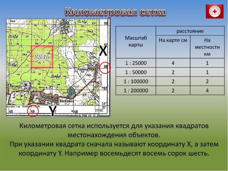 Реперные точки презентация