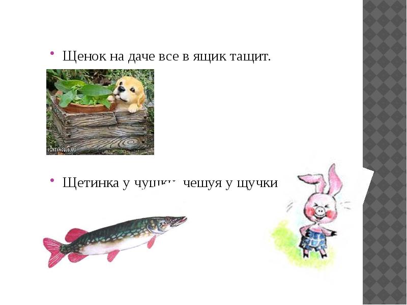 Ч щ презентация