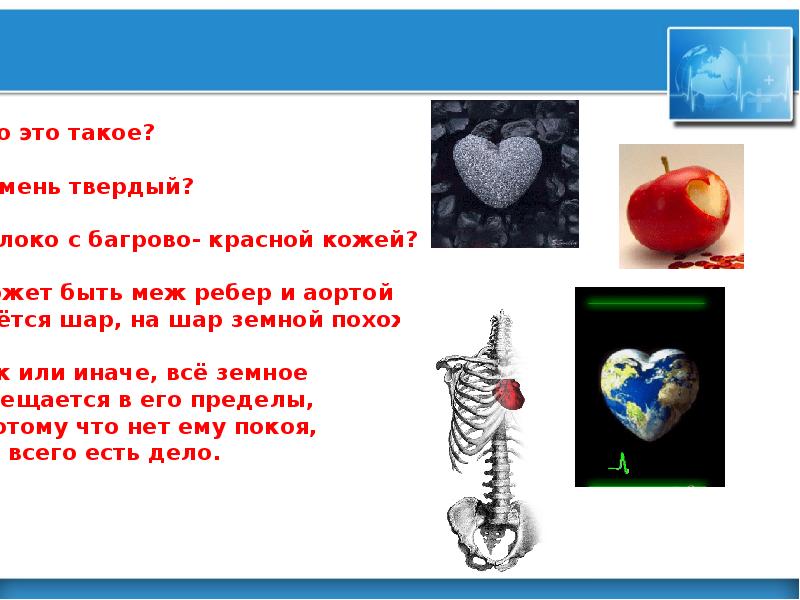 А на сердце твердый. Единственный желудочек сердца. Твердое сердце как камень. Что такое сердце камень твердый яблоко с багрово красной кожей.