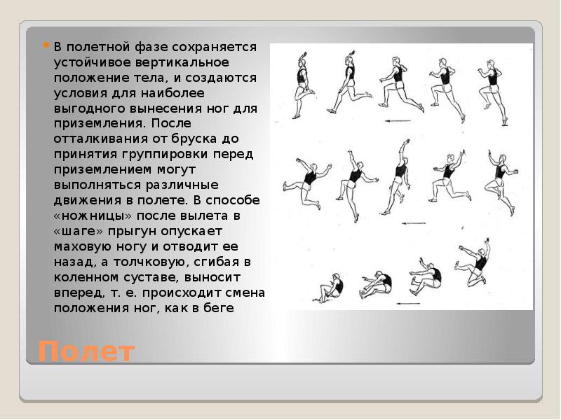 Способность сохранять устойчивое положение тела. Способность сохранять устойчивое положение тела