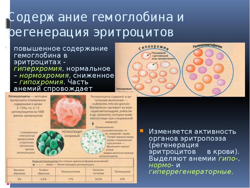 Ретикулоциты повышены. Гемоглобин ретикулоцитов. Повышение ретикулоцитов в крови при анемии. Гемоглобин нормальный ретикулоциты повышены. Содержание гемоглобина в ретикулоцитах понижено.