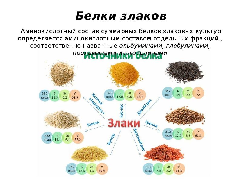 Белок зерновых