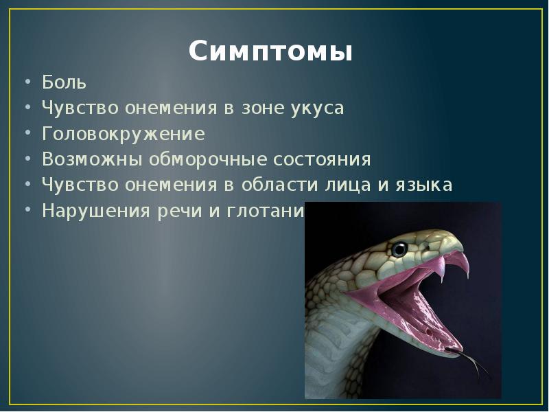 Опасные животные первая помощь при укусах насекомых и змей 6 класс обж презентация