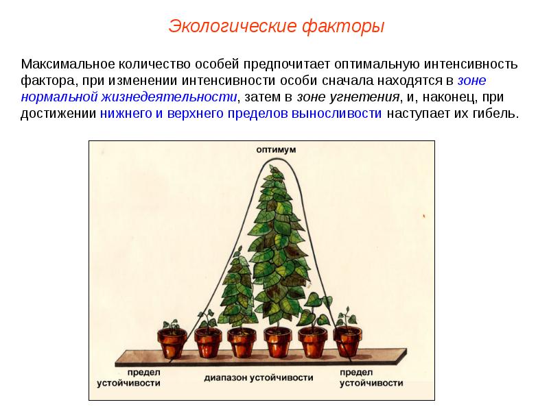 Интенсивность размножения и ограниченность