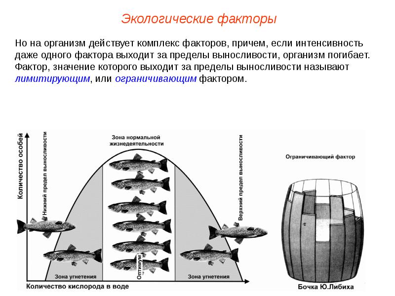 Экологические факторы схема 7 класс биология