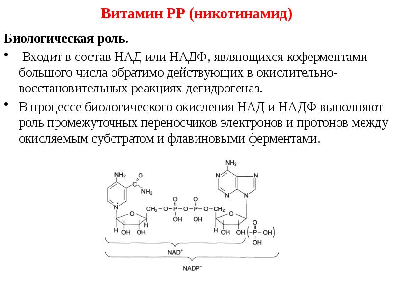 Витамины презентация биохимия