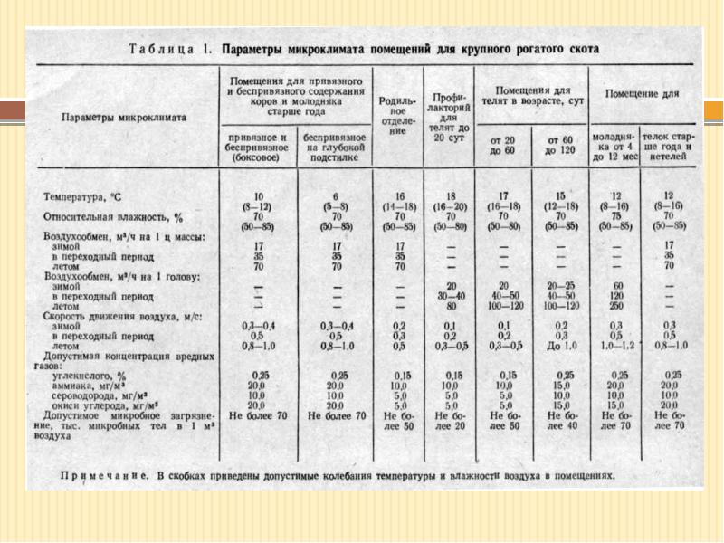 Системы и способы содержания крс презентация