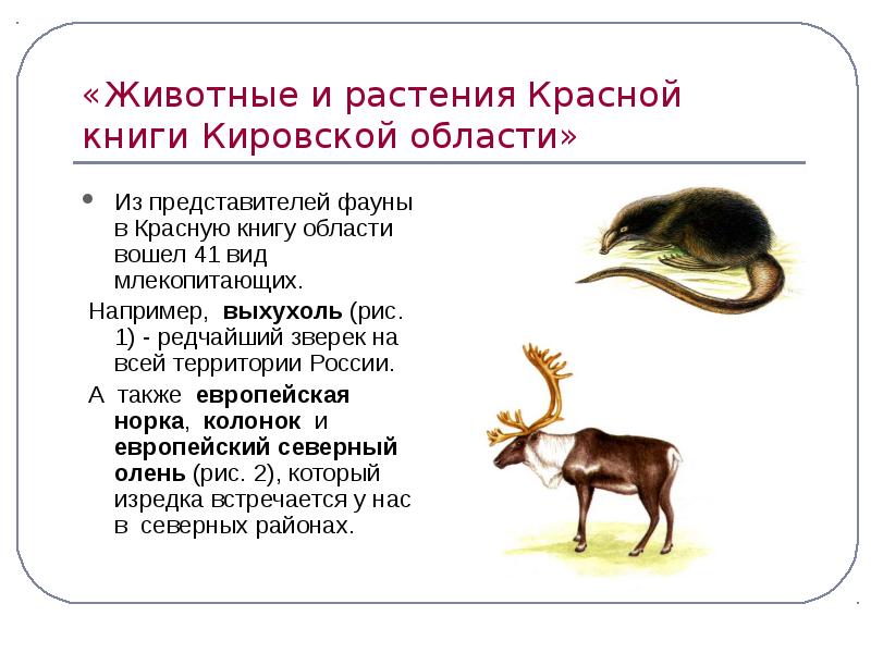 Растения и животные красной книги кировской области