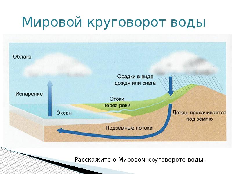 Жизнь на поверхности суши 6 класс география презентация