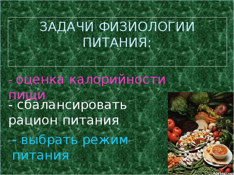 Физиология питания 5 класс урок технологии презентация