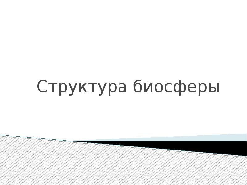 Структура биосферы 8 класс презентация