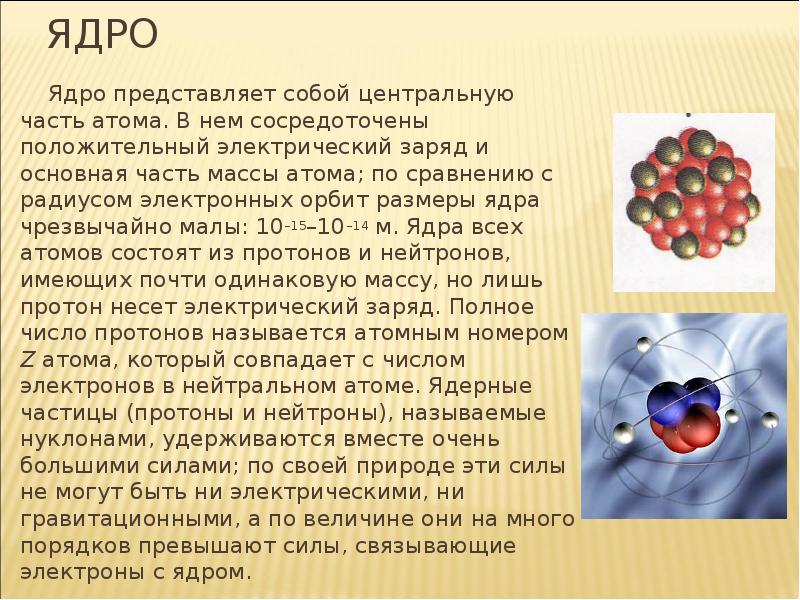 Что представляет собой ядро атома. Что представляет собой ядрышко. Атомное ядро. Что представляет собой ядро.