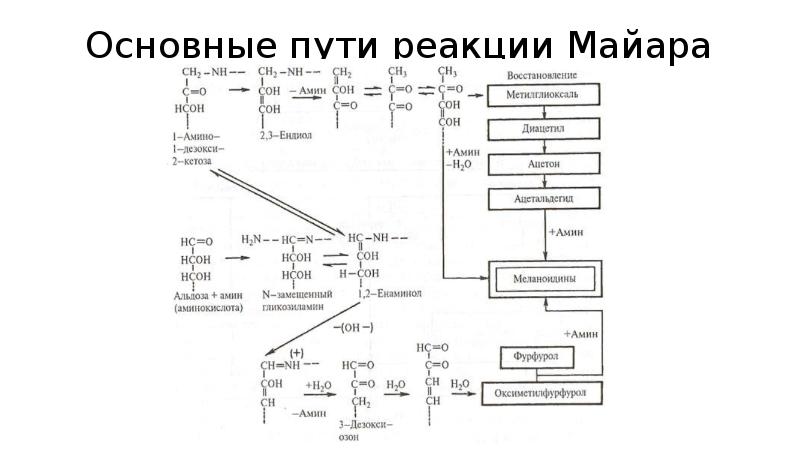 Основные пути реакции Майара