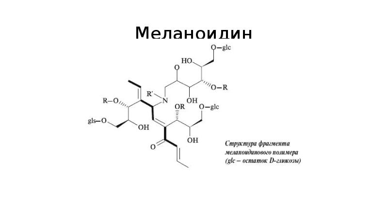 Меланоидин