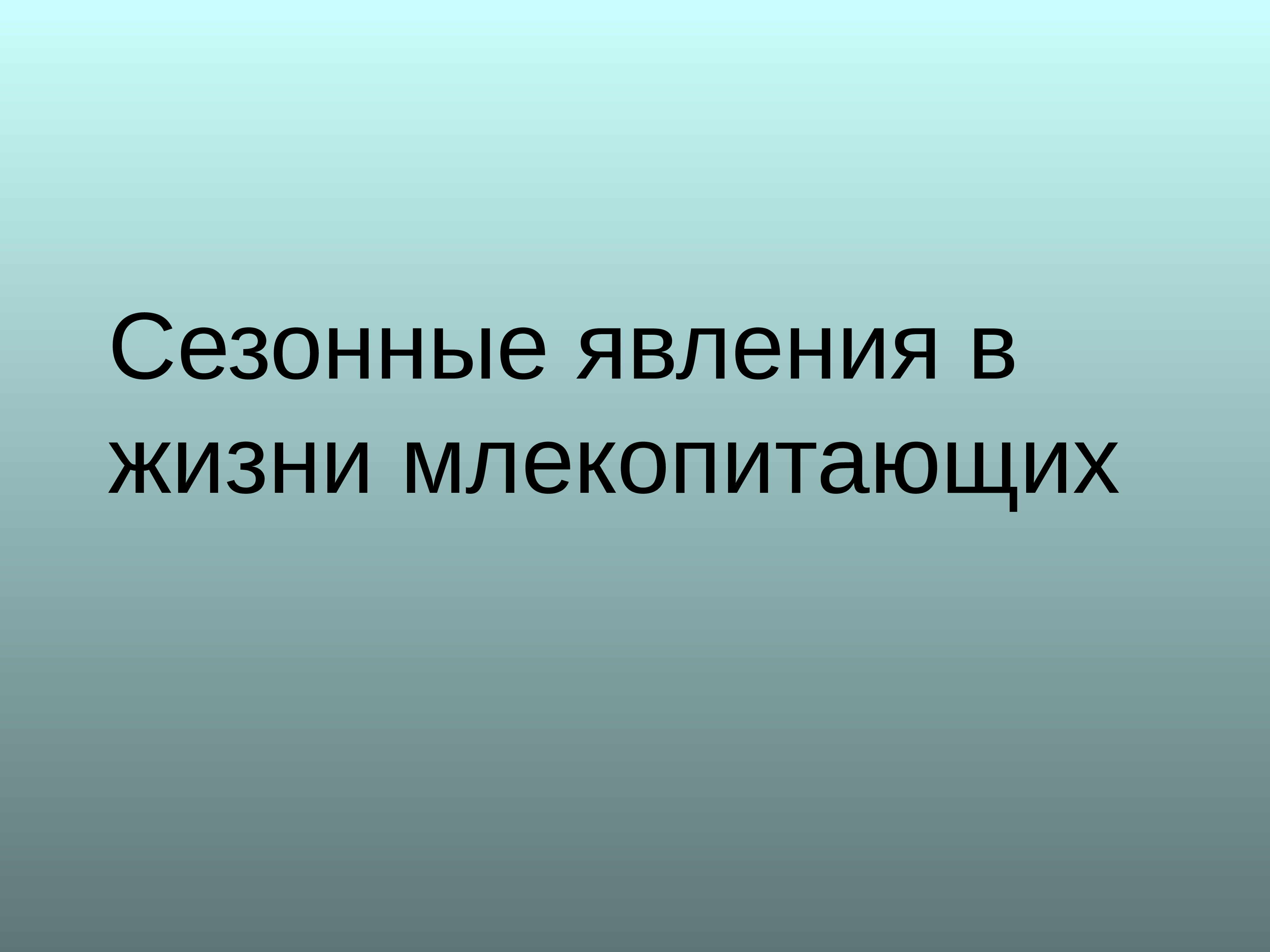 Годовой цикл в жизни млекопитающих