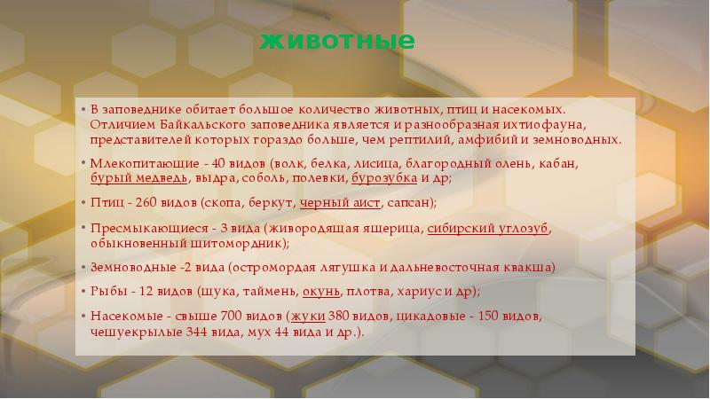 животные
В заповеднике обитает большое количество животных, птиц и насекомых. животные
В заповеднике обитает большое количество животных, птиц и насекомых.