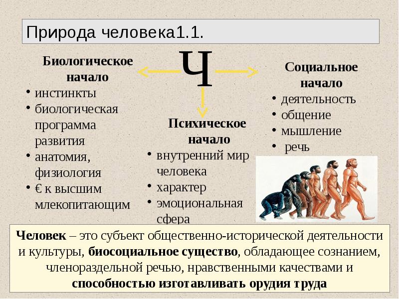 Биологическое и социальное в человеке презентация