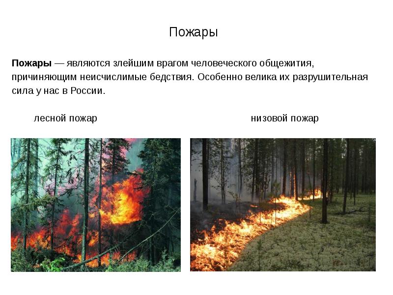 Пожары относятся к чс. Низовой устойчивый пожар. Природные пожары бывают. ЧС природного характера пожары. К природным пожарам относятся.