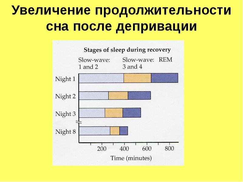 Как увеличить продолжительность сна. Увеличение продолжительности. Продолжительность сна по странам. Увеличить Длительность сна. Ваш уровень депривации сна увеличился.