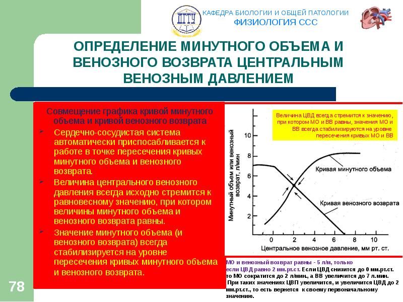 Повышается венозное давление. Центральное венозное давление. Периферическое венозное давление это. Центральное и периферическое венозное давление. Нормальная величина центрального венозного давления составляет.