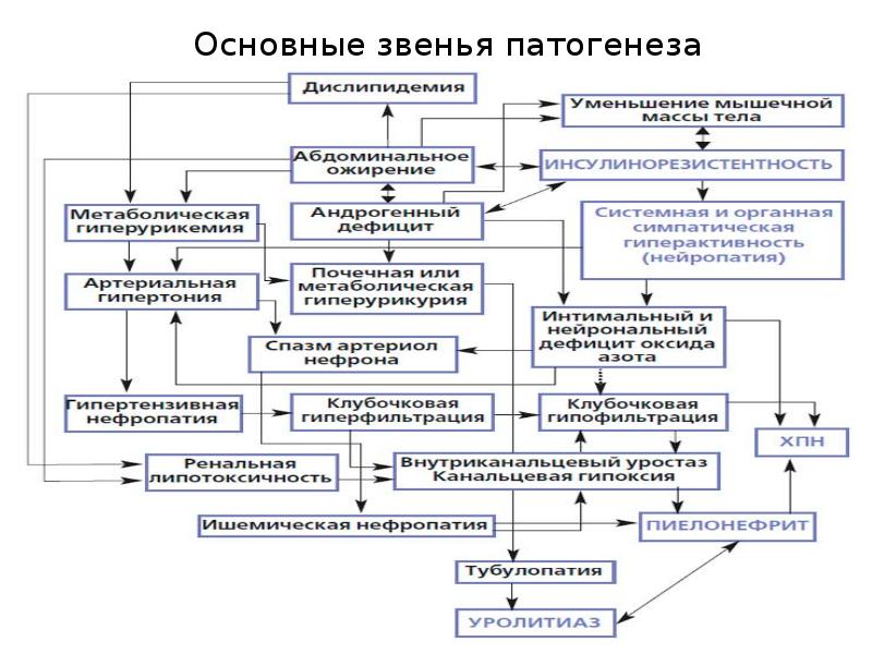 Звенья патогенеза